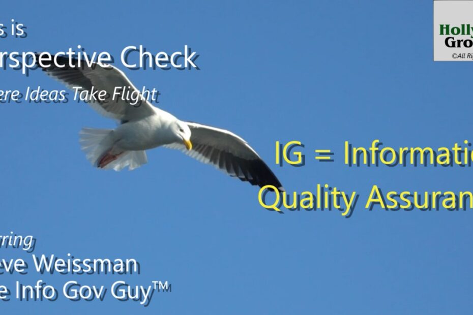 IG = Information Quality Assurance